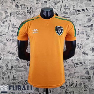 Fussball Trikots World Cup Irland Orange Herren 22 23 AG47