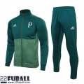 Sweatjacke Palmeiras vert Herren 22 23 JK563