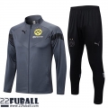 Sweatjacke Dortmund grau Herren 22 23 JK662