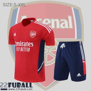 T-Shirt Arsenal Rot Herren 22 23 PL583