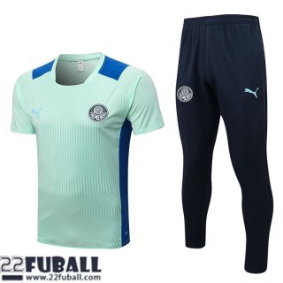 T-Shirt Palmeiras vert Herren 22 23 PL605
