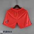 Fussball Shorts England Auswärtstrikot Herren 2022 DK172