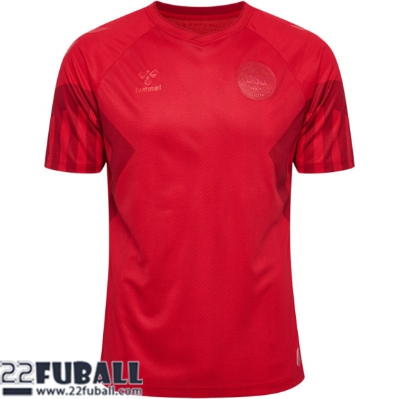 Fussball Trikots Denmark Heimtrikot Herren World Cup 2022