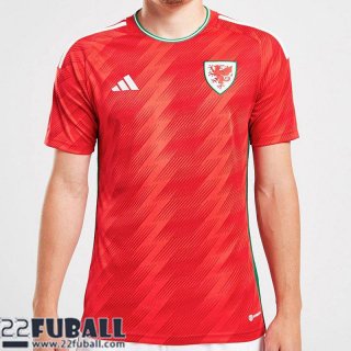 Fussball Trikots Wales Heimtrikot Herren World Cup 2022