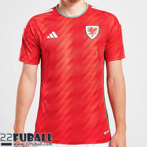 Fussball Trikots Wales Heimtrikot Herren World Cup 2022