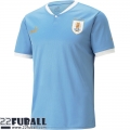 Fussball Trikots Uruguay Heimtrikot Herren World Cup 2022