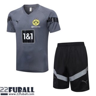 Trainingsanzug T Shirt Dortmund grau Herren 22 23 TG644