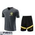 Trainingsanzug T Shirt Dortmund grau Herren 22 23 TG655