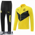 Sweatjacke Dortmund BVB Gelb Herren 22 23 JK313