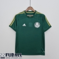 Fussball Trikots Palmeiras Heimtrikot Herren 14 15 FG103