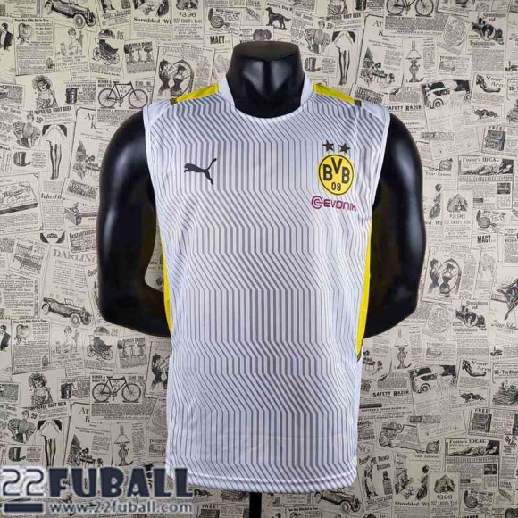 T-Shirt Dortmund grau Herren 22 23 PL325