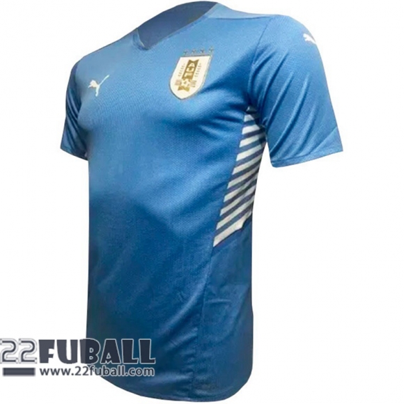 Fussball trikots Uruguay Heimtrikot Herren 2021