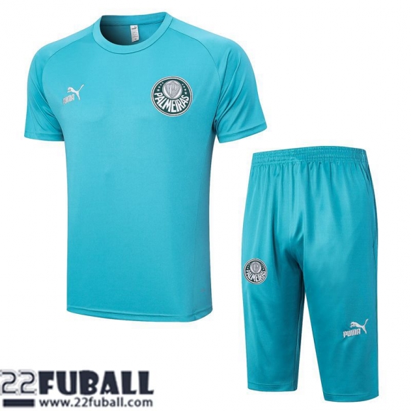 Poloshirts Palmeiras Himmelblau Herren 23 24 PL684