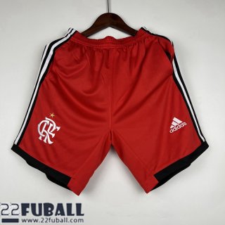 Fussball Shorts Flamengo Rot Herren 23 24 P250