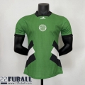 Fussball Trikots Celtic Sonderausgabe Herren 23 24 TBB73