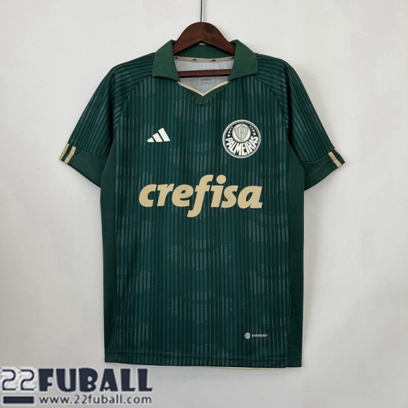 Fussball Trikots Palmeiras Sonderausgabe Herren 23 24 TBB75